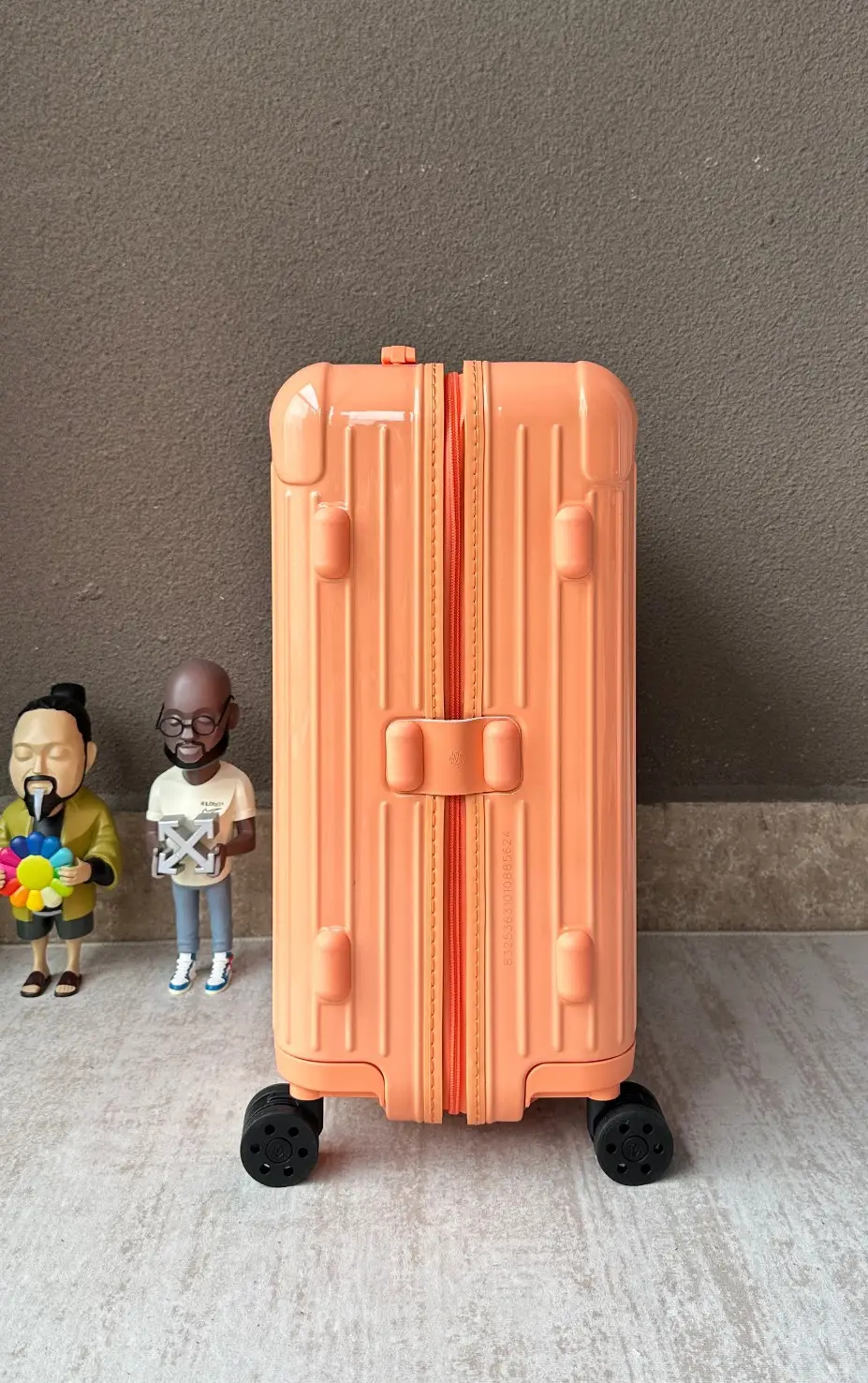 Rimova2