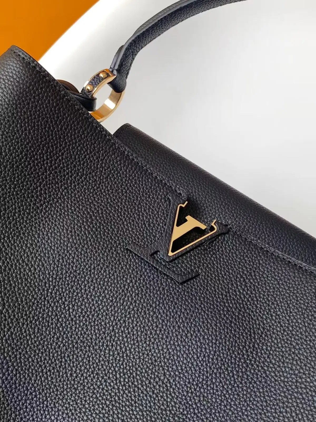LV BAG 10